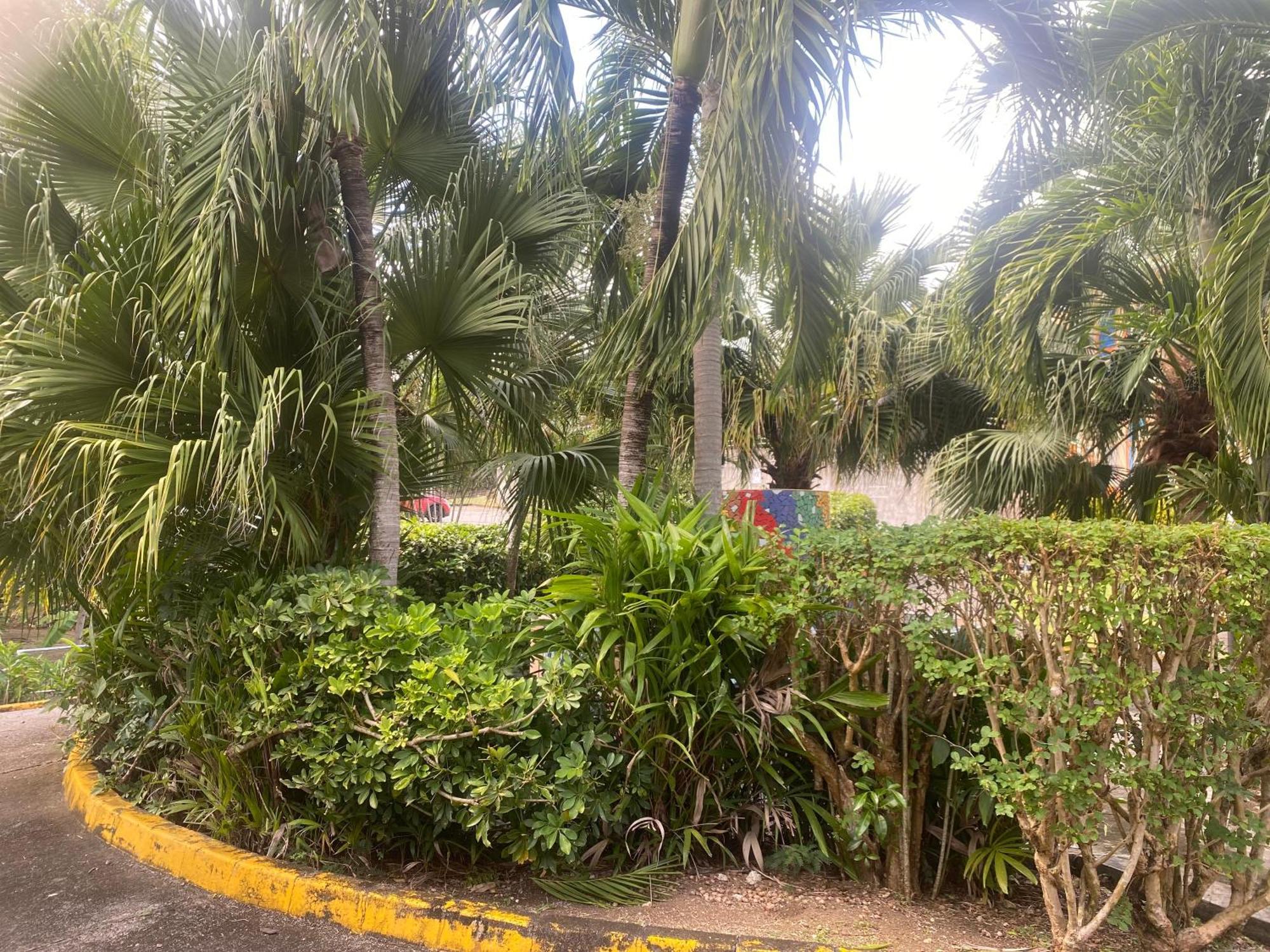 Secret Garden Villa แซ็งแตนน์ ภายนอก รูปภาพ